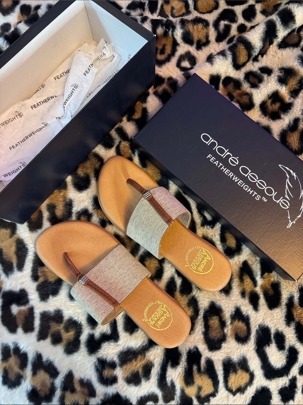 Sandal Slides
